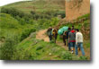 14 thumb
